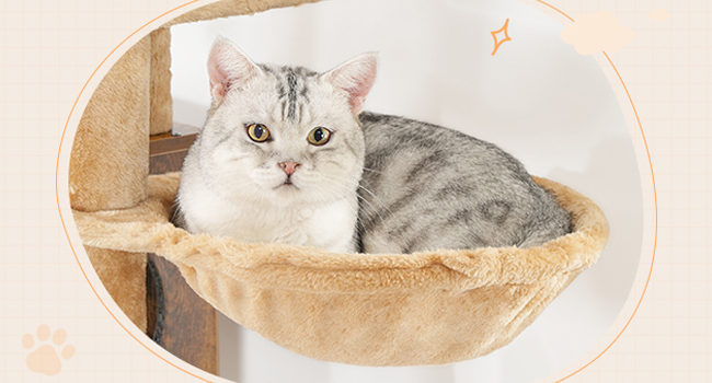 Macskafa alomdoboz-tartóval