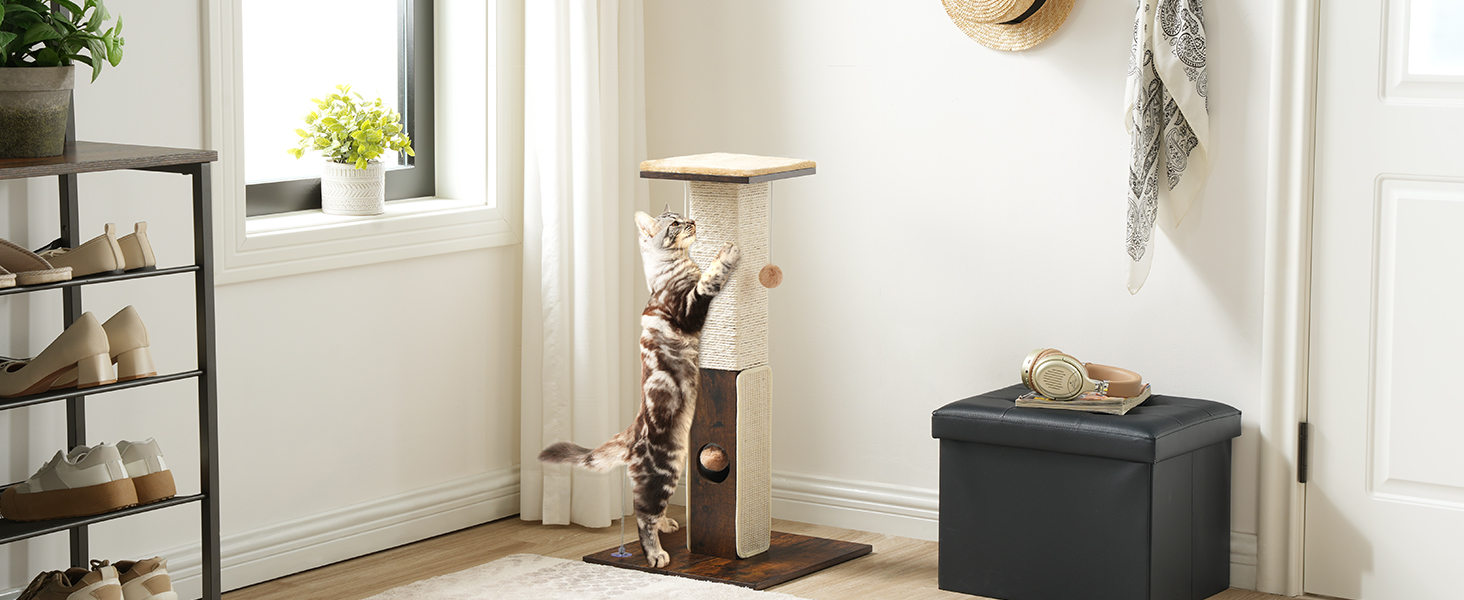 кошачья когтеточка