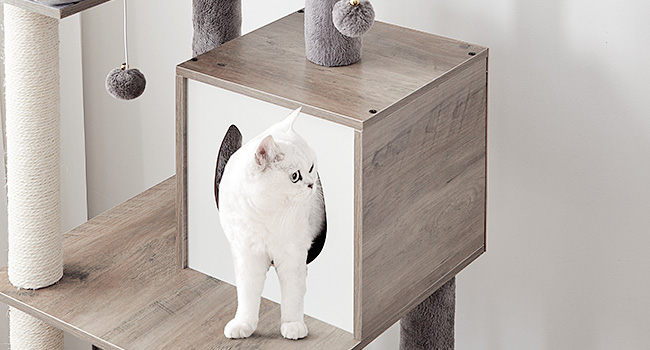 f24d85c5-d46a-47ca-8e95-ca07e2f1d1cb.__cr0,0,650,350_pt0_sx650_v1___