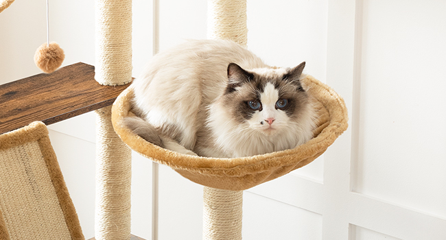 skjulte søppelkassemøbler