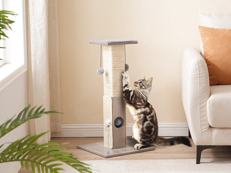 γάτα ξύσιμο post