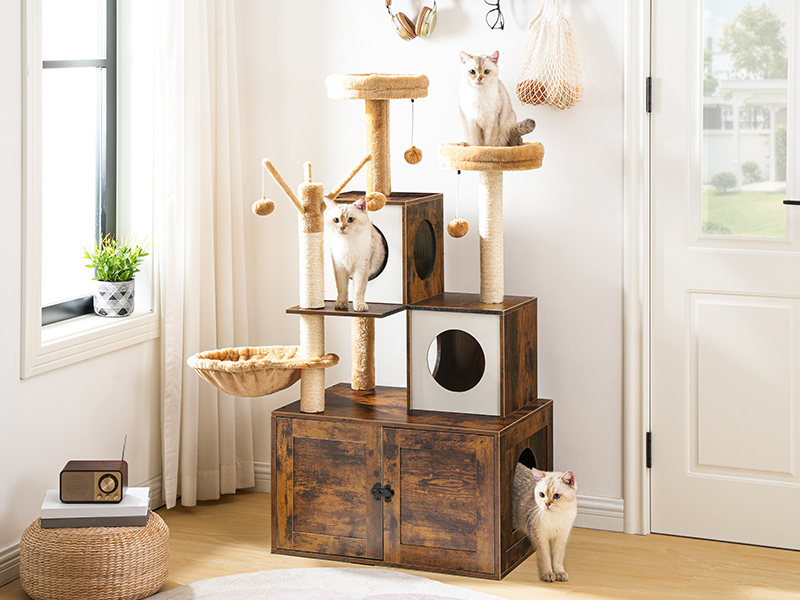 feb72bd2-aeb0-4311-bf23-f030c4478cea.__cr0,0,800,600_pt0_sx800_v1___