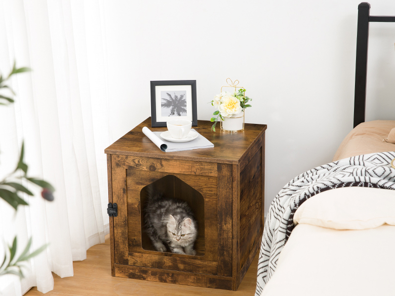 حاوية صندوق القمامة القط