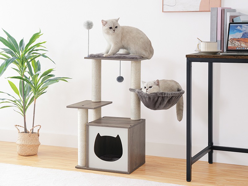 9a4a2a74-e71b-4dd1-9d8a-6edd3963caf9.__cr0,0,800,600_pt0_sx800_v1___