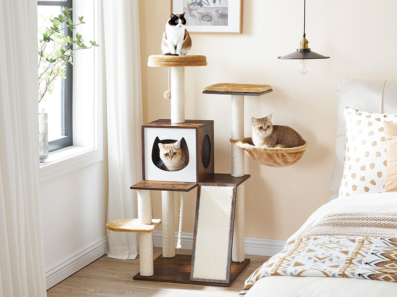 455626c4-a4b6-4958-b084-61fd509a76bc.__cr0,0,800,600_pt0_sx800_v1___