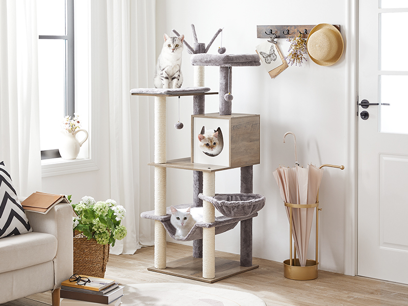 cd88e4e1-173f-4bb4-882d-148bfc32c2c8.__cr0,0,800,600_pt0_sx800_v1___